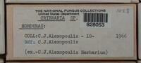 Image Associated With the Occurence